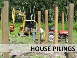 housepilings